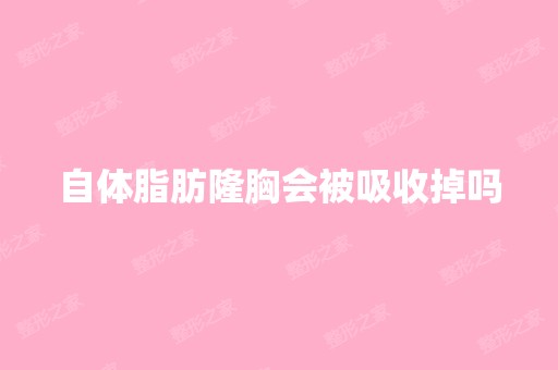 自体脂肪隆胸会被吸收掉吗