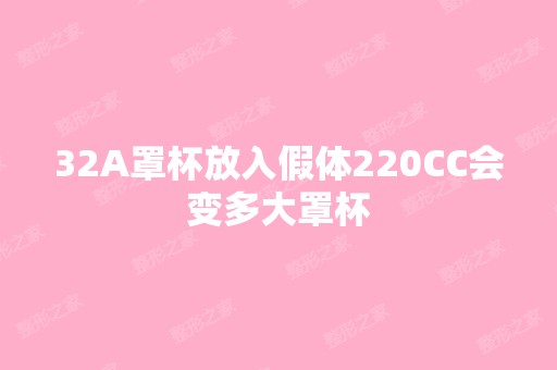 32A罩杯放入假体220CC会变多大罩杯