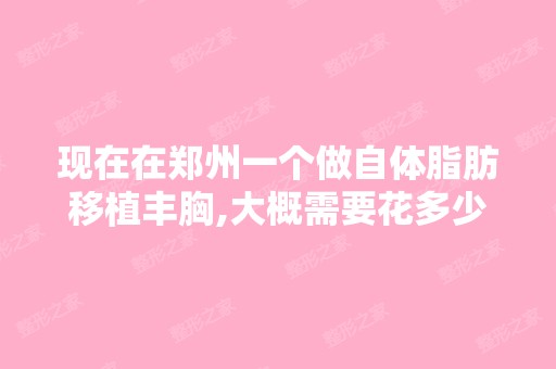 现在在郑州一个做自体脂肪移植丰胸,大概需要花多少钱？会不会很贵？