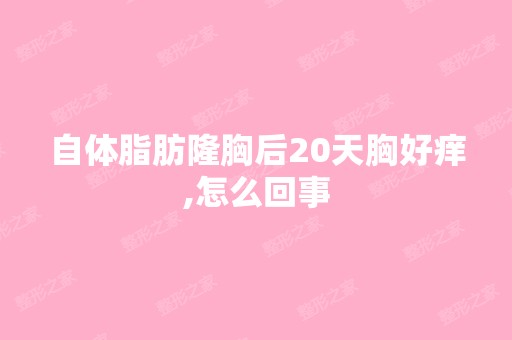 自体脂肪隆胸后20天胸好痒,怎么回事