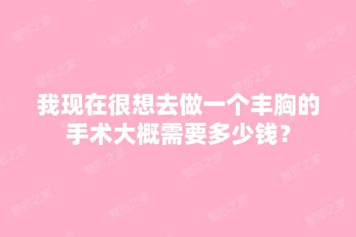 我现在很想去做一个丰胸的手术大概需要多少钱？