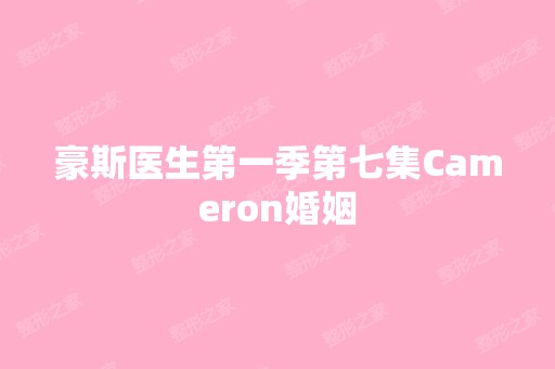 豪斯医生第一季第七集Cameron婚姻