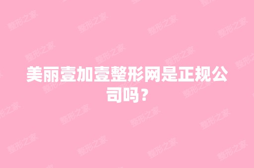 美丽壹加壹整形网是正规公司吗？