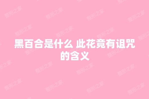 黑百合是什么 此花竟有诅咒的含义