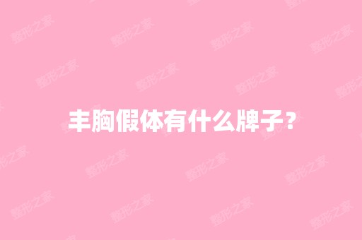 丰胸假体有什么牌子？