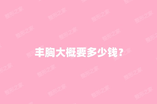 丰胸大概要多少钱？