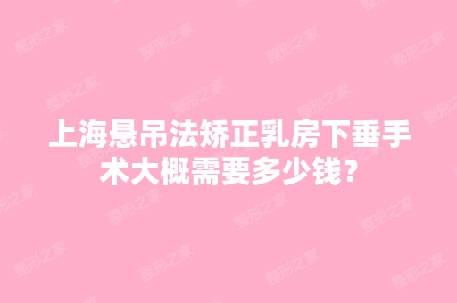 上海悬吊法矫正乳房下垂手术大概需要多少钱？