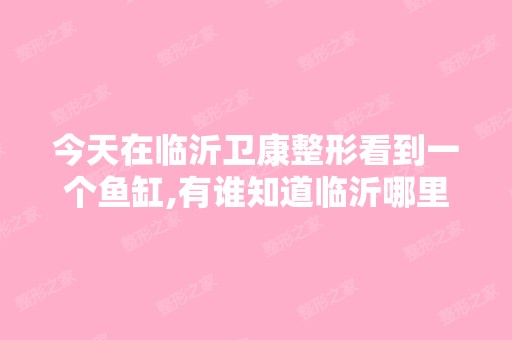 今天在临沂卫康整形看到一个鱼缸,有谁知道临沂哪里有卖的？大概价...