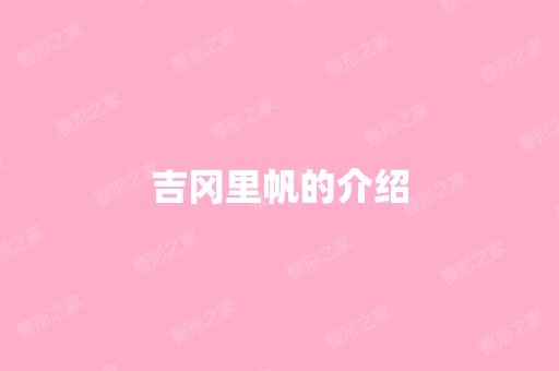 吉冈里帆的介绍