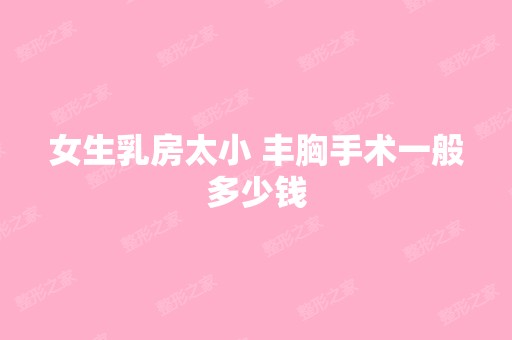 女生乳房太小 丰胸手术一般多少钱