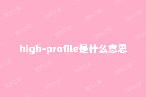 high-profile是什么意思