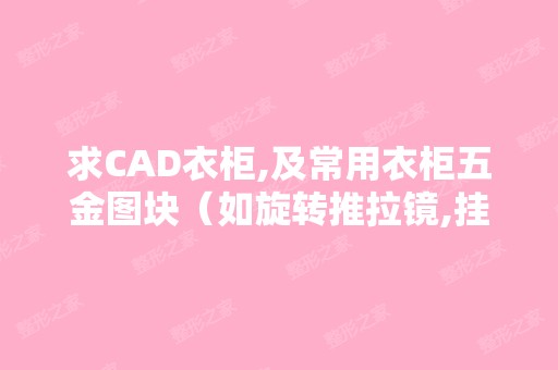 求CAD衣柜,及常用衣柜五金图块（如旋转推拉镜,挂衣杆等）谢谢！...