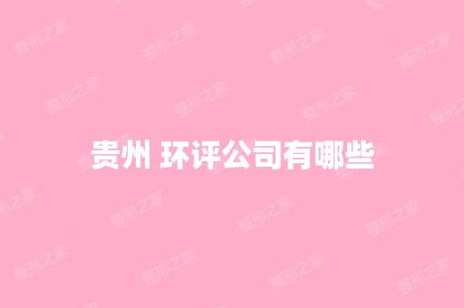 贵州 环评公司有哪些