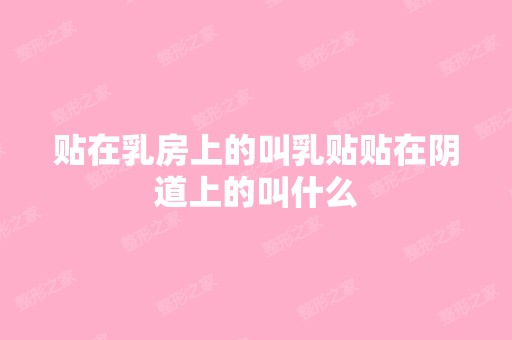 贴在乳房上的叫乳贴贴在阴道上的叫什么