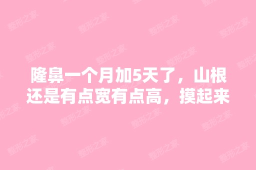 隆鼻一个月加5天了，山根还是有点宽有点高，摸起来...