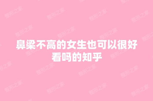 鼻梁不高的女生也可以很好看吗的知乎