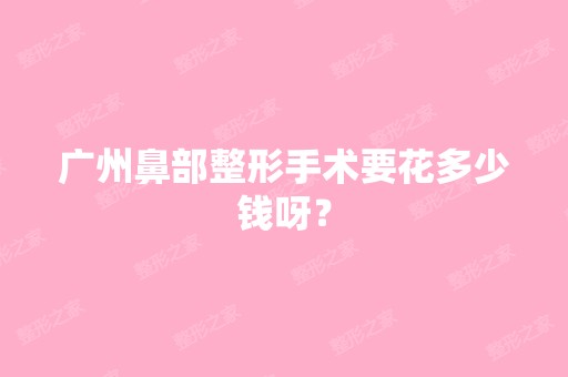 广州鼻部整形手术要花多少钱呀？