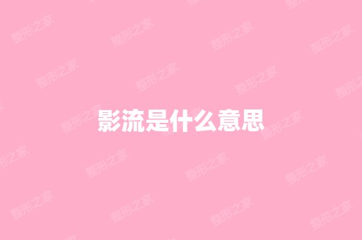 影流是什么意思