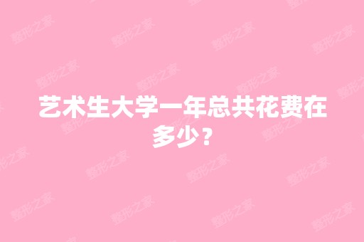 艺术生大学一年总共花费在多少？