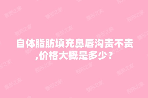 自体脂肪填充鼻唇沟贵不贵,价格大概是多少？