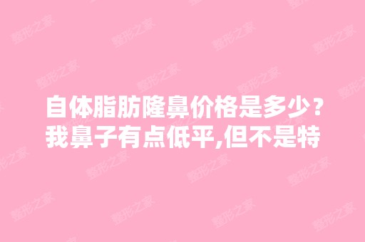 自体脂肪隆鼻价格是多少？我鼻子有点低平,但不是特别低的那种,...