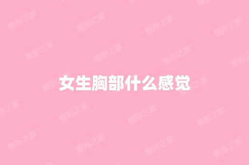 女生胸部什么感觉