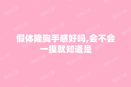 假体隆胸手感好吗,会不会一摸就知道是