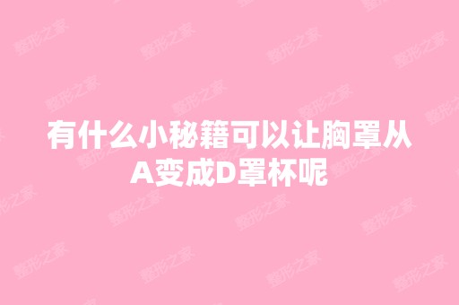 有什么小秘籍可以让胸罩从A变成D罩杯呢