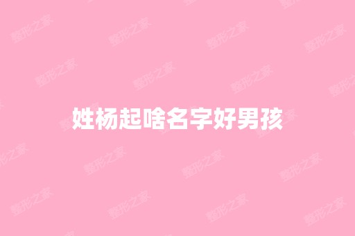 姓杨起啥名字好男孩