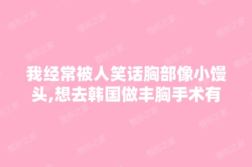 我经常被人笑话胸部像小馒头,想去韩国做丰胸手术有推荐的吗 ？