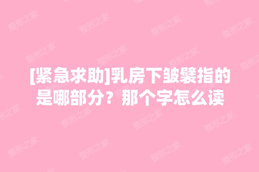 [紧急求助]乳房下皱襞指的是哪部分？那个字怎么读