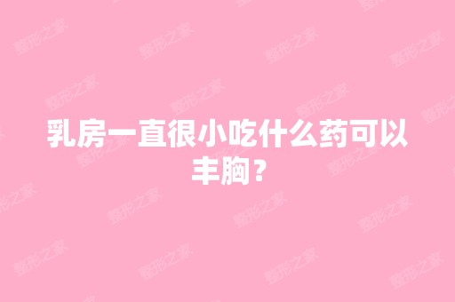 乳房一直很小吃什么药可以丰胸？