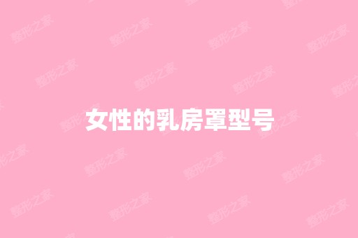 女性的乳房罩型号