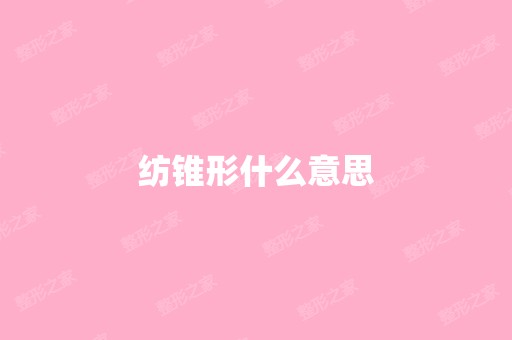 纺锥形什么意思