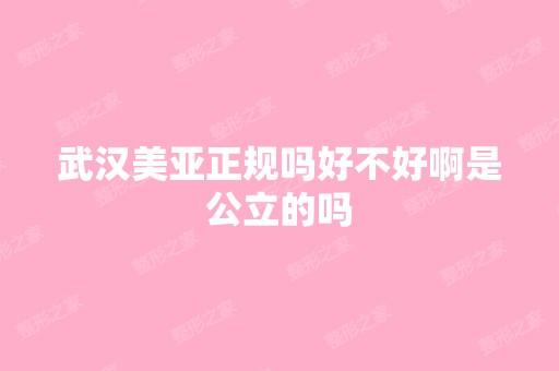 武汉美亚正规吗好不好啊是公立的吗