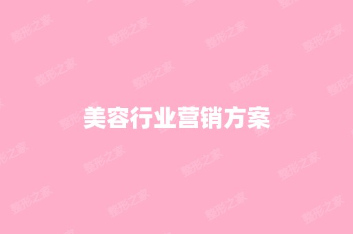 美容行业营销方案