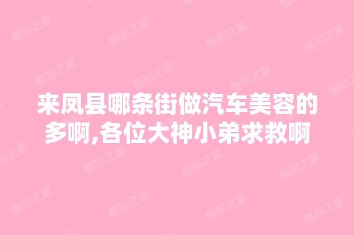 来凤县哪条街做汽车美容的多啊,各位大神小弟求救啊！