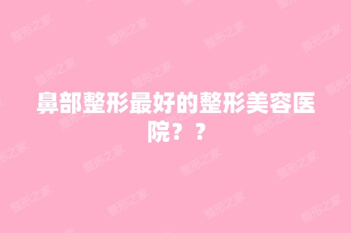 鼻部整形比较好的整形美容医院？？