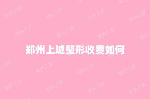 郑州上城整形收费如何