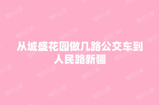 从城盛花园做几路公交车到人民路新疆