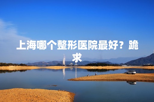 上海哪个整形医院比较好？跪求