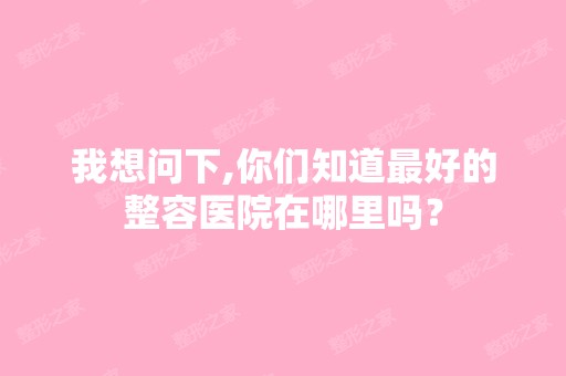 我想问下,你们知道比较好的整容医院在哪里吗？