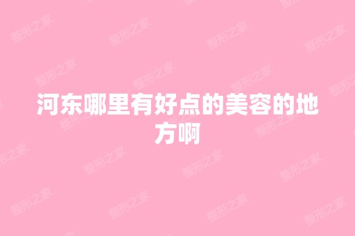 河东哪里有好点的美容的地方啊