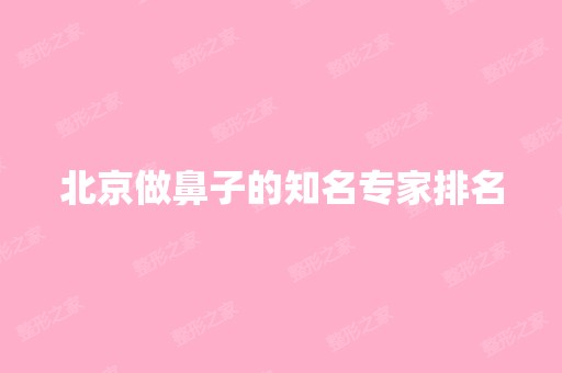 北京做鼻子的知名专家排名