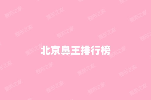 北京鼻王排行榜