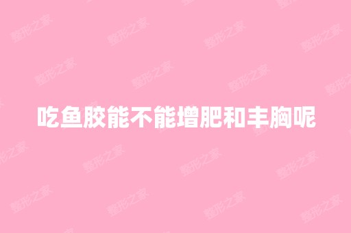 吃鱼胶能不能增肥和丰胸呢