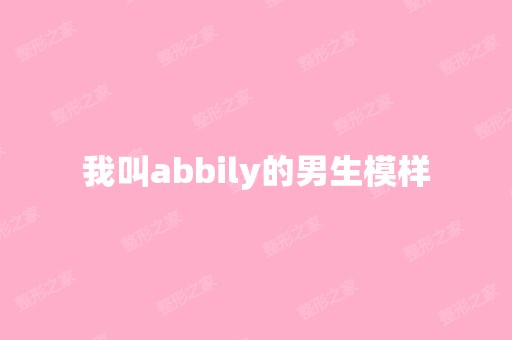 我叫abbily的男生模样