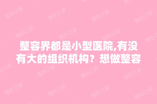 整容界都是小型医院,有没有大的组织机构？想做整容,有点害怕。