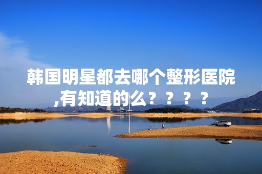 韩国明星都去哪个整形医院,有知道的么？？？？