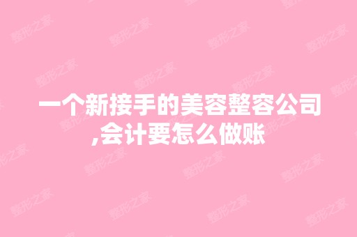 一个新接手的美容整容公司,会计要怎么做账